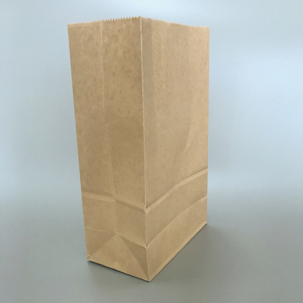 100 قطعة من أكياس الورق الكراف - مراجعة Food Storage Bag وسعره