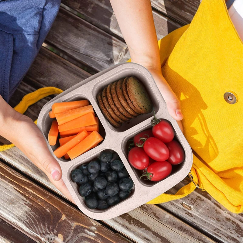صندوق تخزين الطعام المحمول ، ا - مراجعة Food Storage Plastic Boxes وسعره